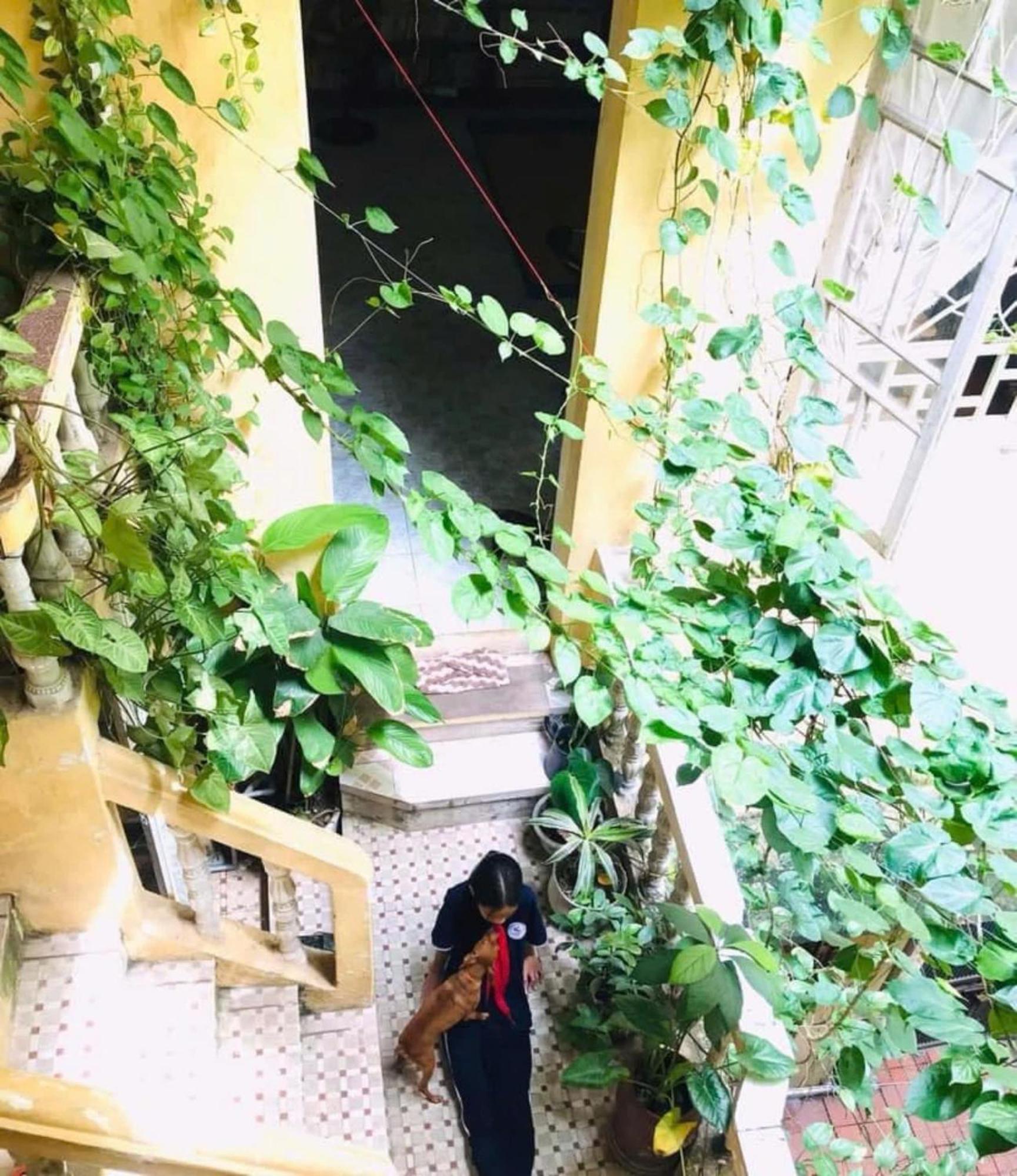האנוי Azalea Apartment מראה חיצוני תמונה