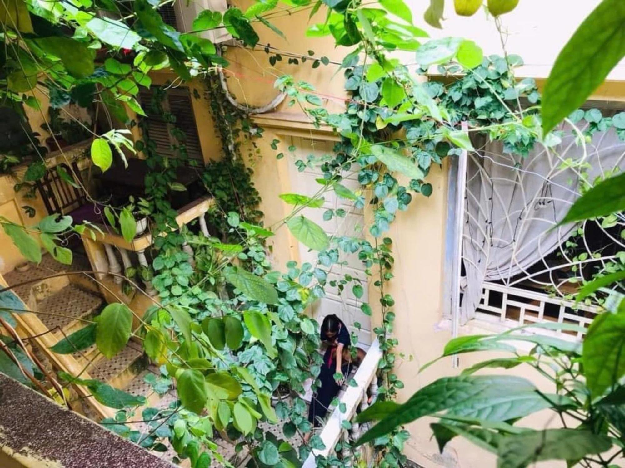 האנוי Azalea Apartment מראה חיצוני תמונה